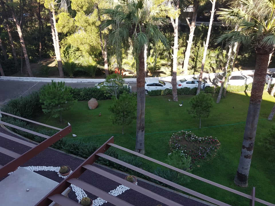 Gartenanlage Paloma Pasha