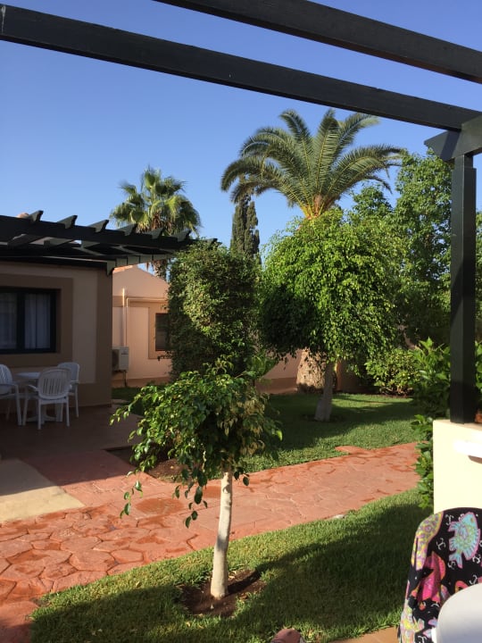 Gartenanlage allsun Hotel Esplendido