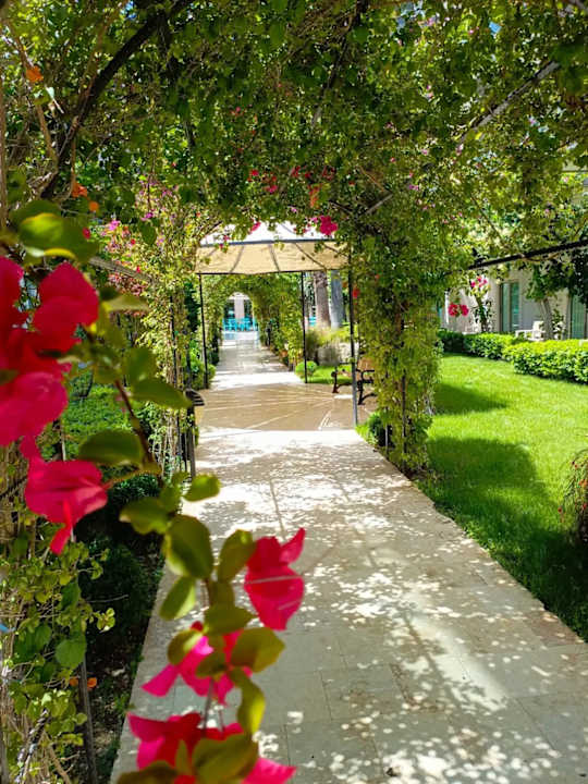 Gartenanlage Hotel Grand Ring