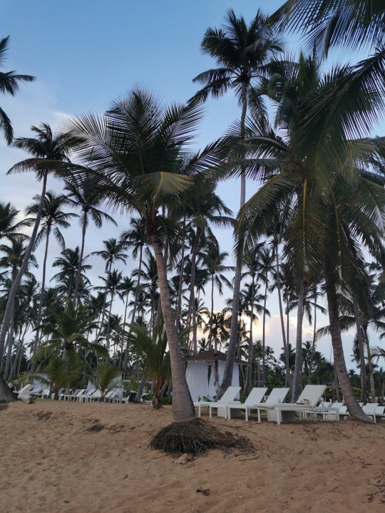 Strand Viva V Samana by Wyndham – Adults Only