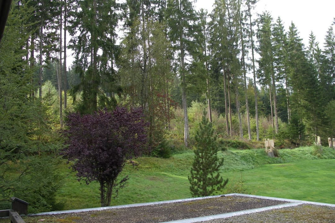 Blick vom Balkon nach links Nationalpark - Hotel Waldsägmühle