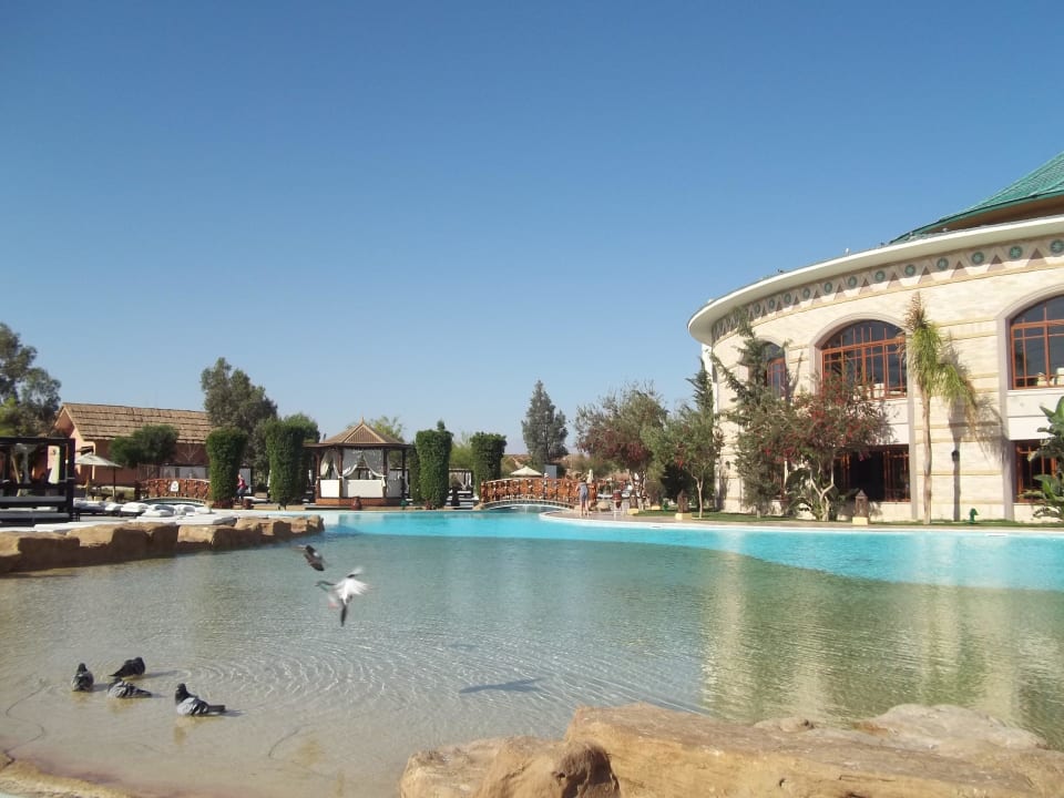 Pool Pickalbatros Jungle Aqua Park Resort - Neverland Hurghada