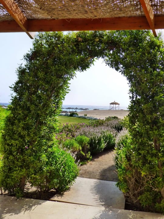 Hochzeitsbogen? Hotel Gorgonia Beach Resort