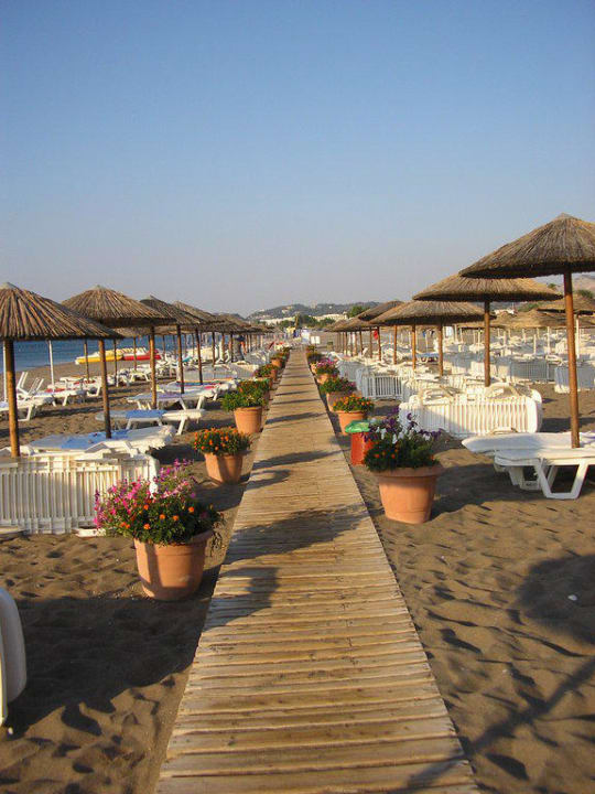 Blumentrogallee am Strand Hotel Calypso Beach
