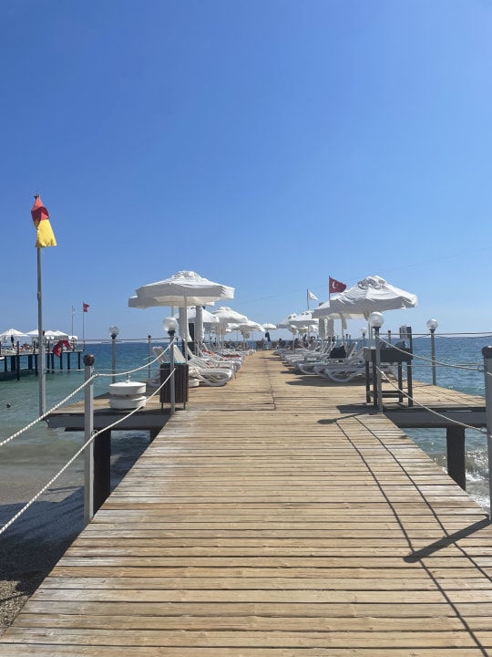 Strand Dizalya Palm Garden