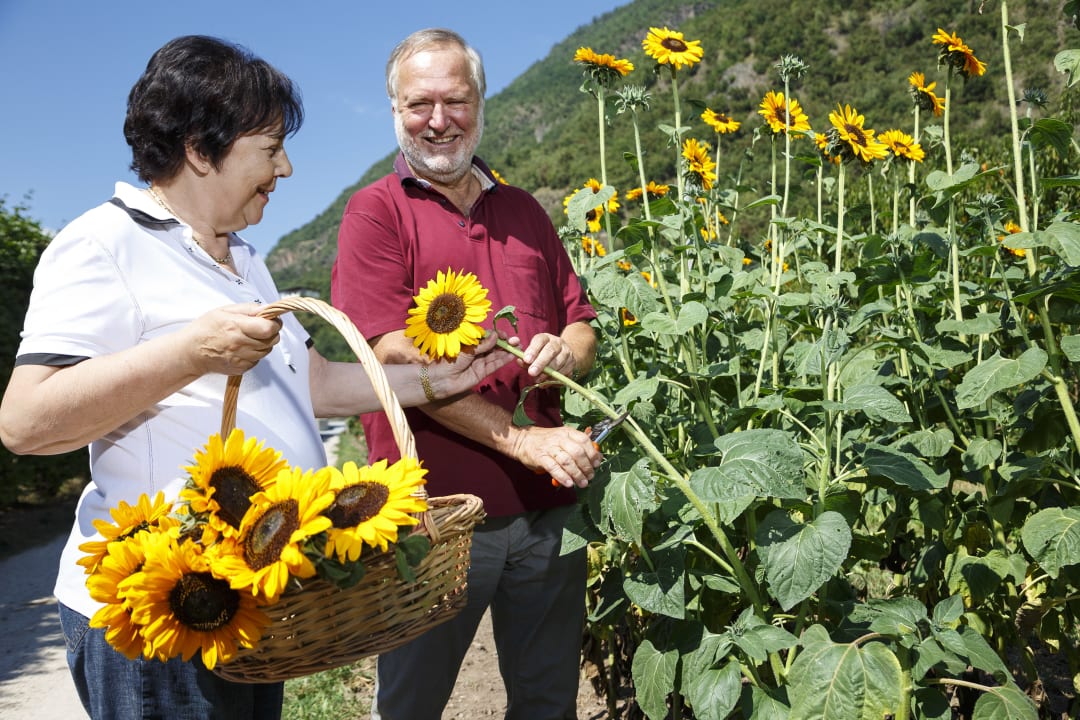 Sonstiges Theiner's Garten Bio Vitalhotel