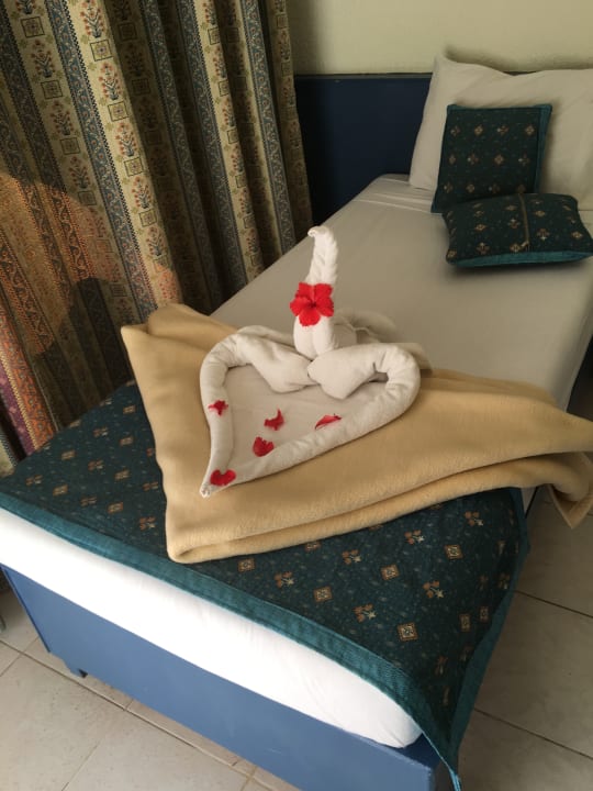 Zimmer Eagles Paradise Abu Soma