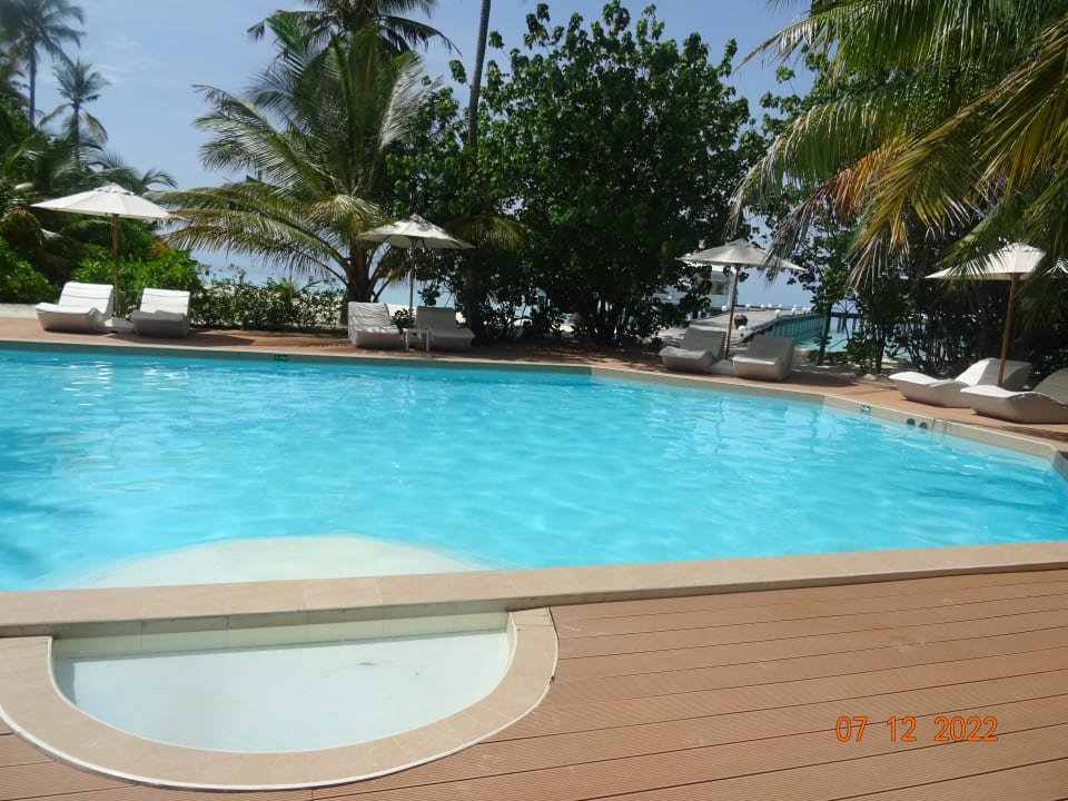 Pool Safari Island Maldives