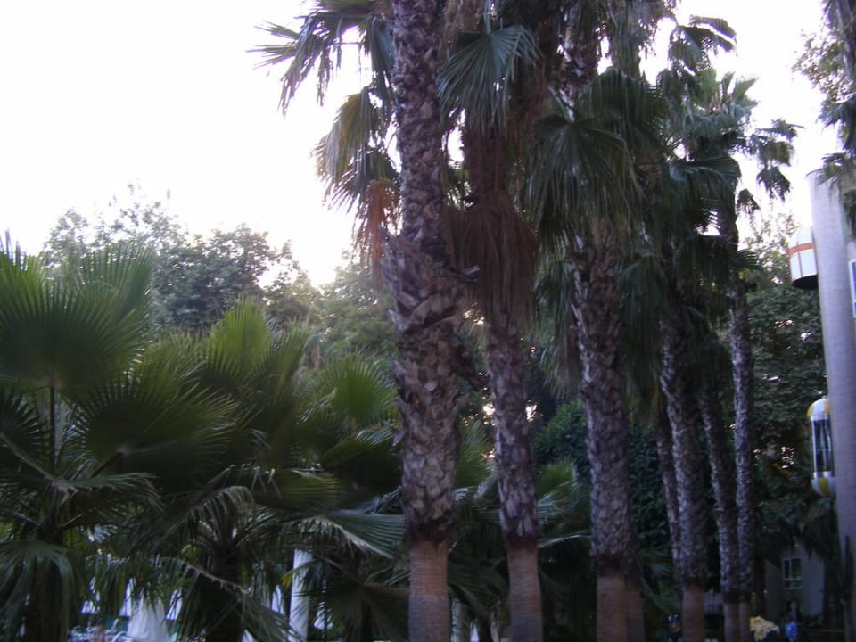 Gartenanlage Botanik Hotel & Resort