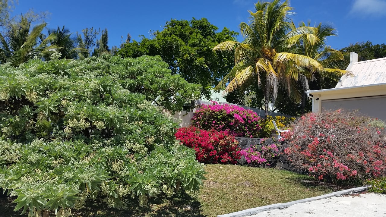 Gartenanlage Radisson Blu Poste Lafayette Resort & Spa - Adults only