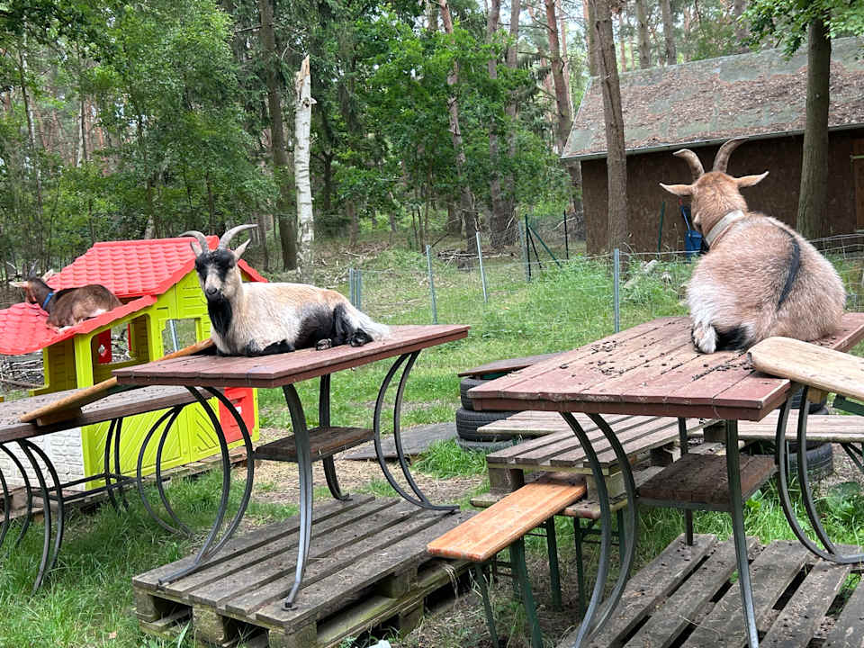 Gartenanlage Kinderresort Usedom