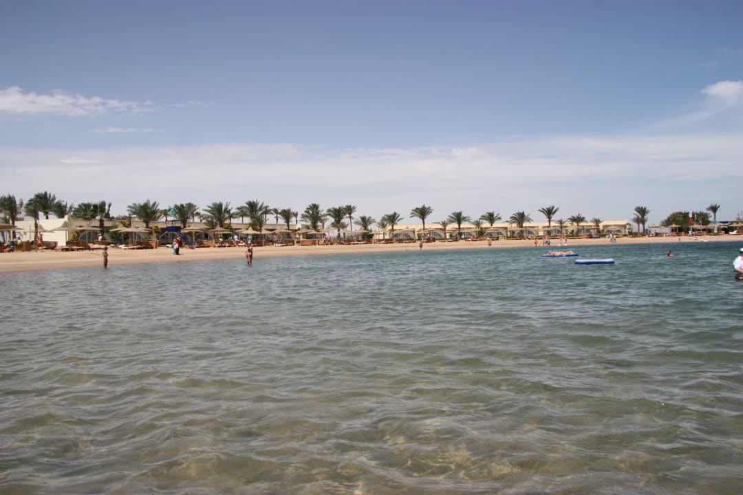 Лагуна Desert Rose