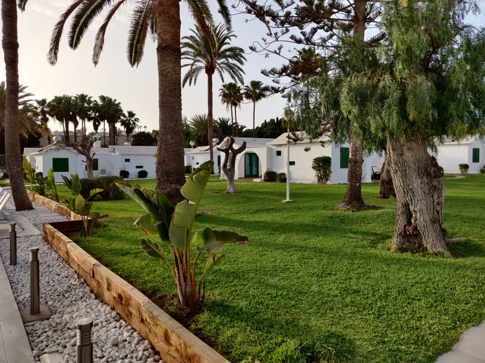 Außenansicht Canary Garden Club