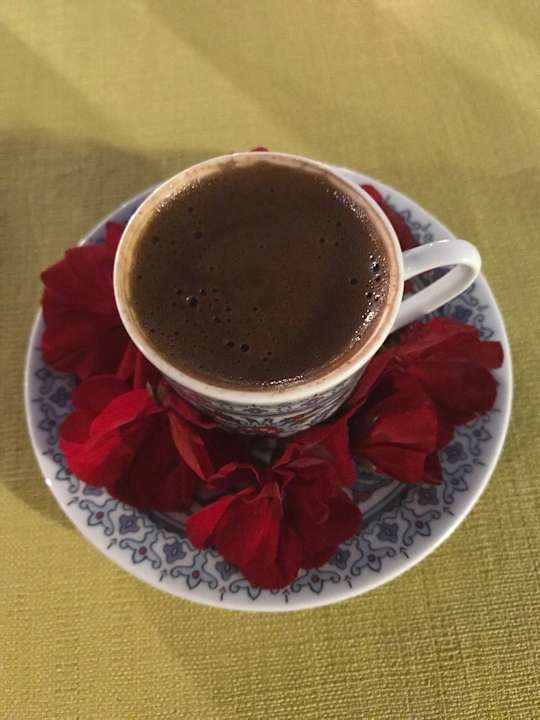 Gastro Acanthus Cennet Barut Collection