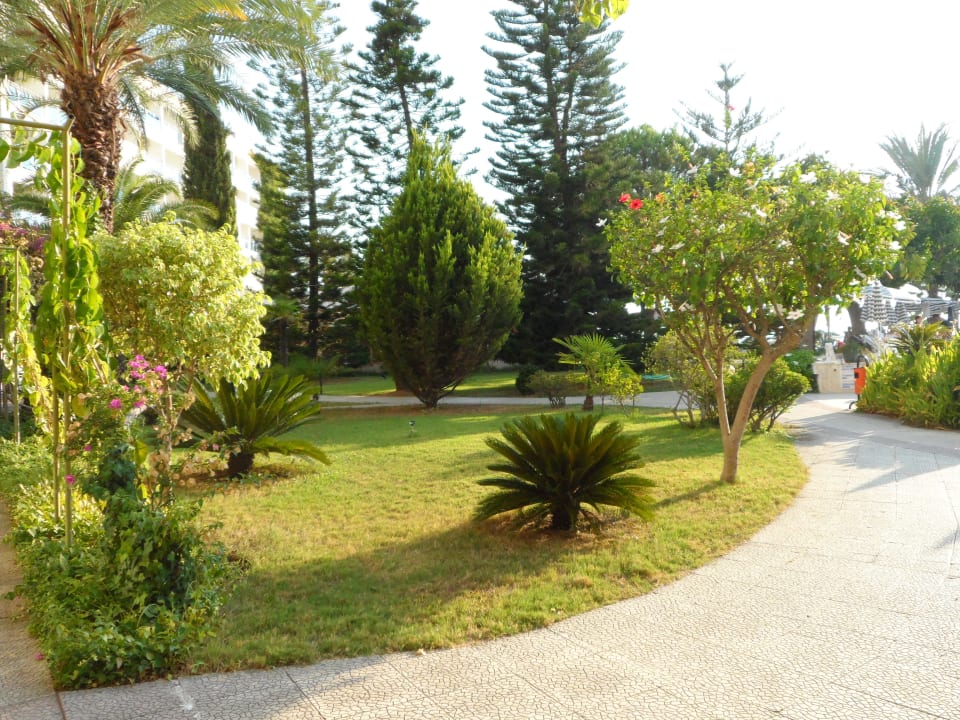 Areál hotela Top Hotel