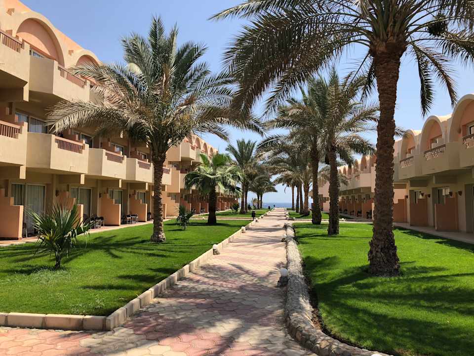 Gartenanlage Three Corners Sea Beach Resort