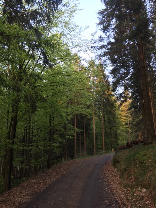 Gartenanlage Der schöne Asten - Resort Winterberg