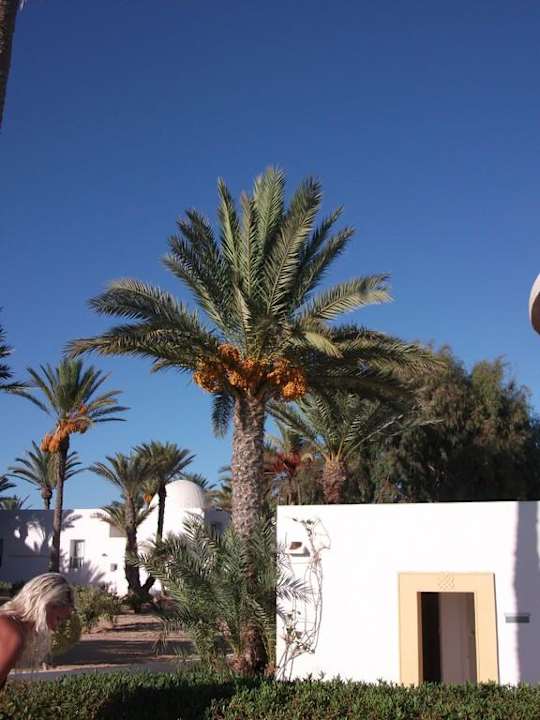 Hotelanlage Hotel El Mouradi Djerba Menzel