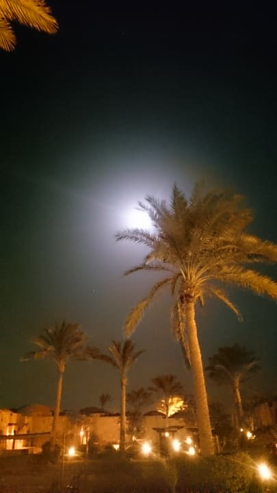 Sonstiges Swisstouch Oriental Resort Marsa Alam