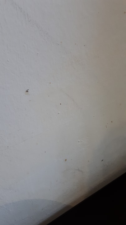 Zimmer Hotel Ilusion Calma &  SPA