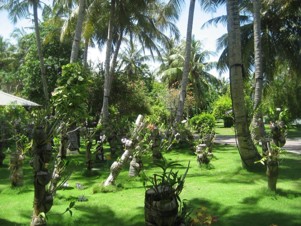 Schöner Garten Villa Park Sun Island