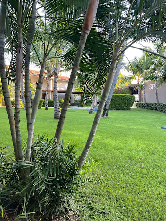 Gartenanlage Dreams Flora Resort & Spa - All Inclusive