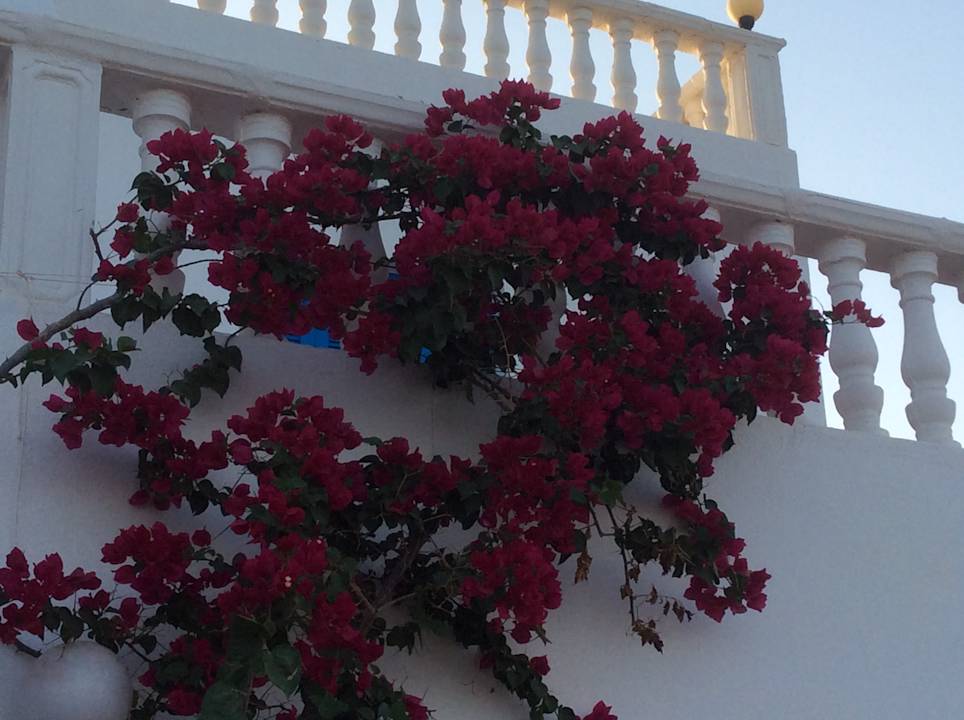 Außenansicht Maison dˋHôte Domaine El-Manar