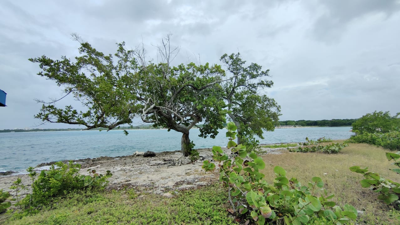 Ausblick Iberostar Coral Holguín