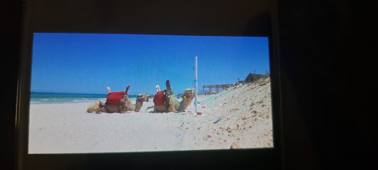 Strand Hotel Djerba Resort