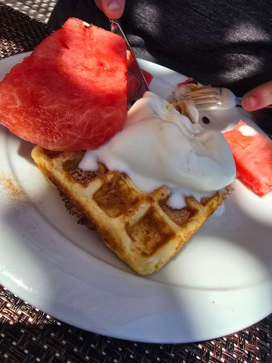 Gastro Seashell Vega