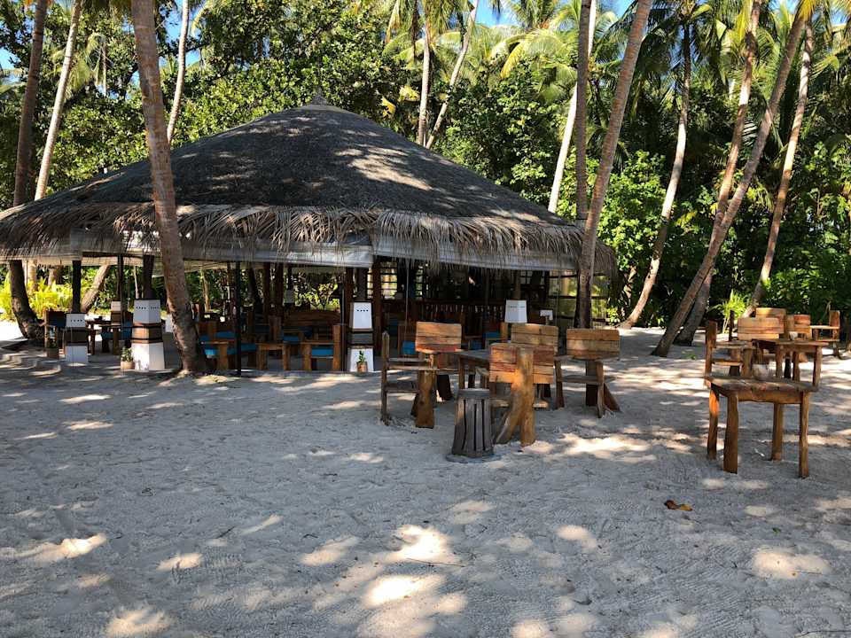 Gastro aaaVeee Nature's Paradise