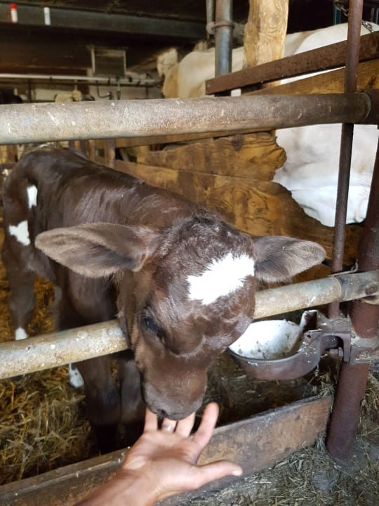 Sonstiges Ferienhof An der Lay