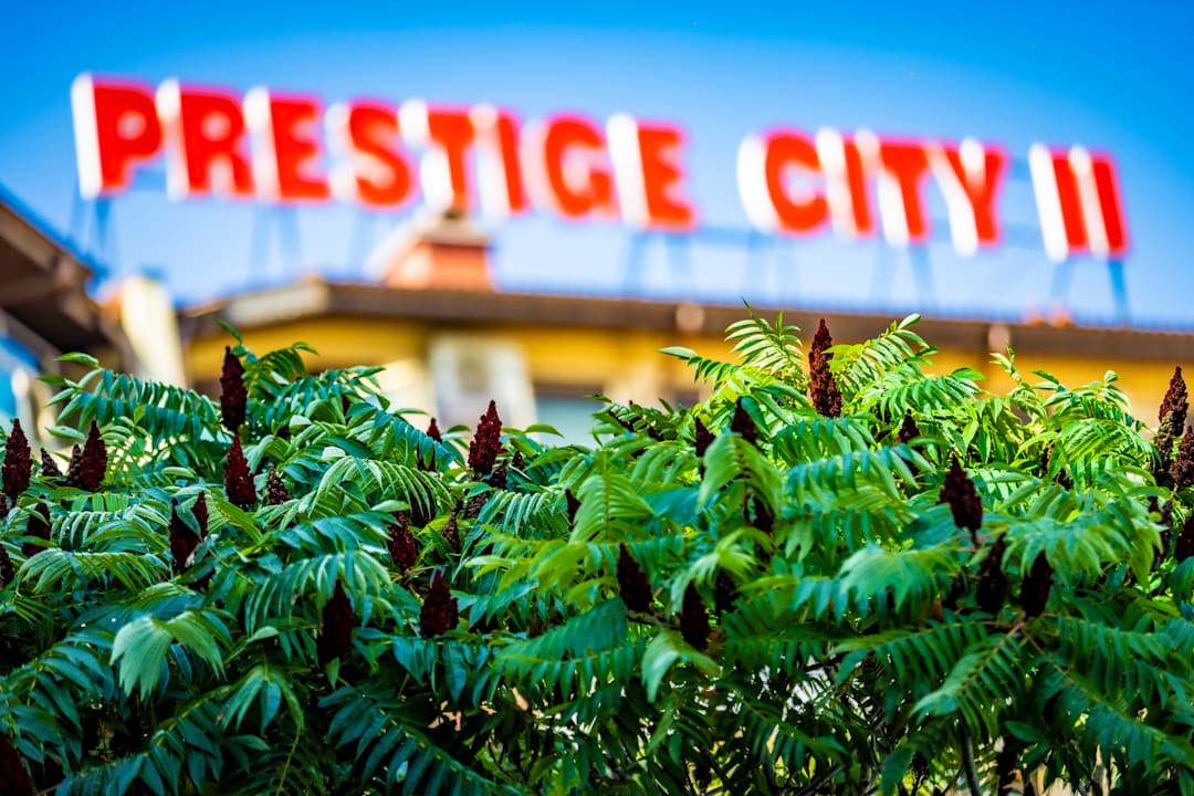 Sonstiges Aparthotel Prestige City II