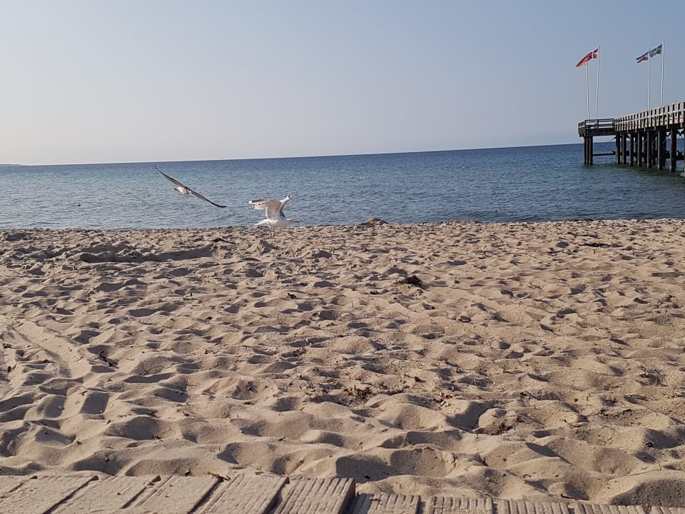 Strand Ferienwohnungen Ferienpark Weissenhäuser Strand