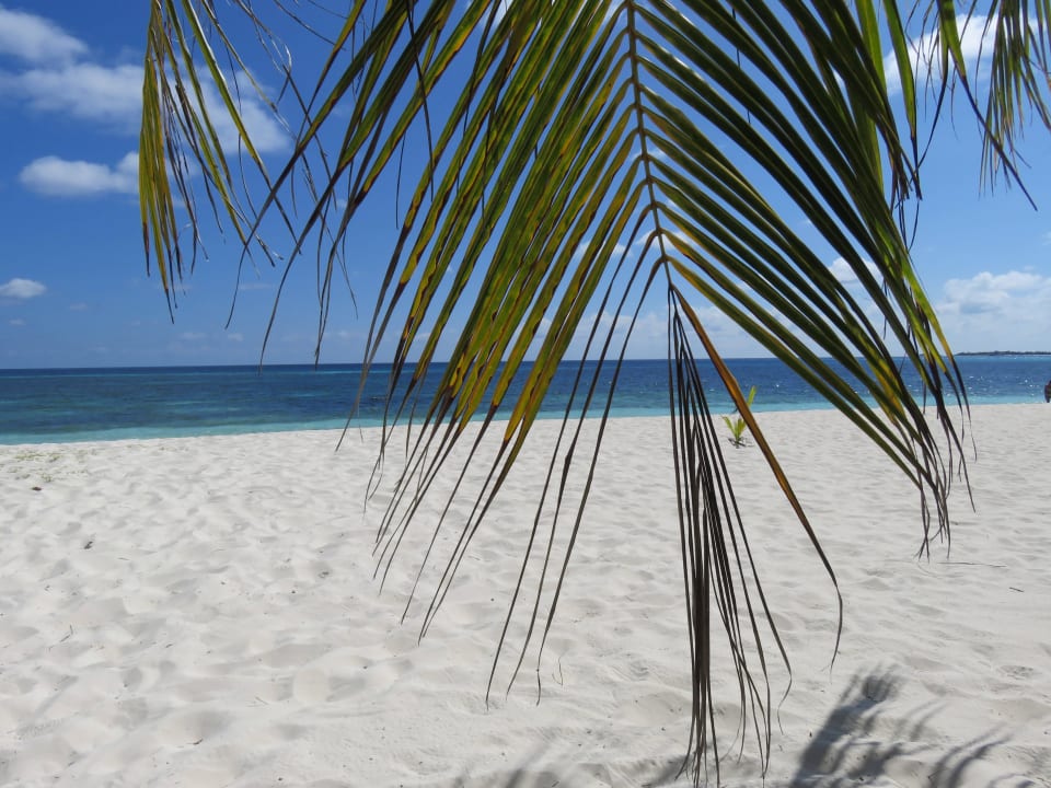 Strand Kuredu Island Resort & Spa