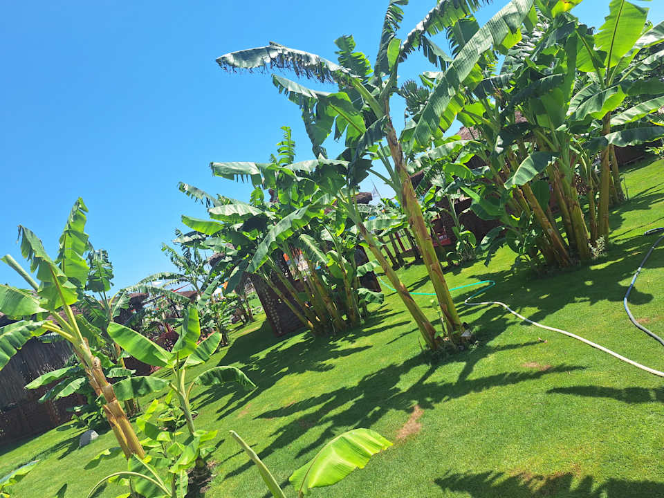 Strand VONRESORT Golden Beach