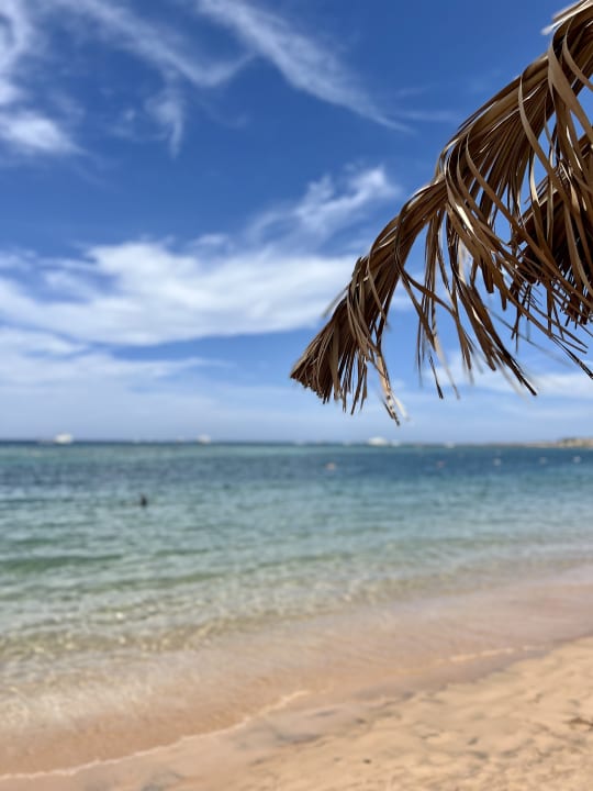 Strand Jaz Makadina