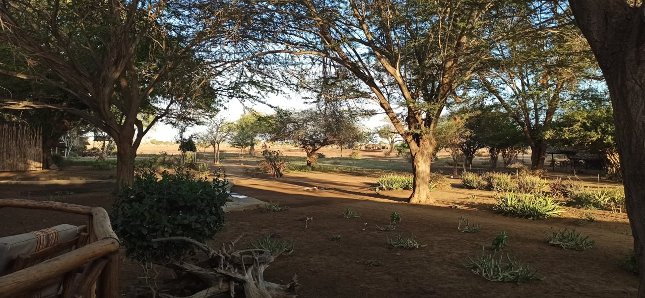 Gartenanlage Satao Camp