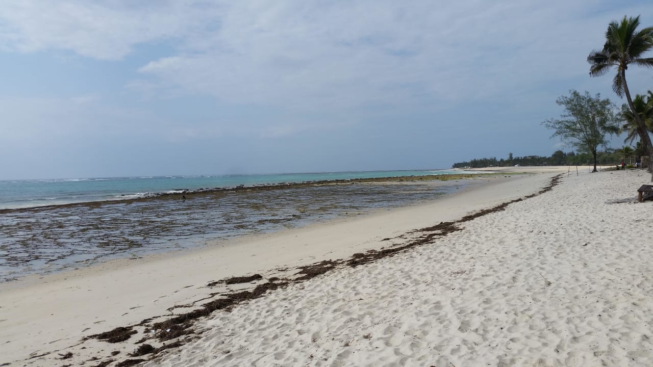 Strand bei Ebbe Resort Amani Tiwi Beach