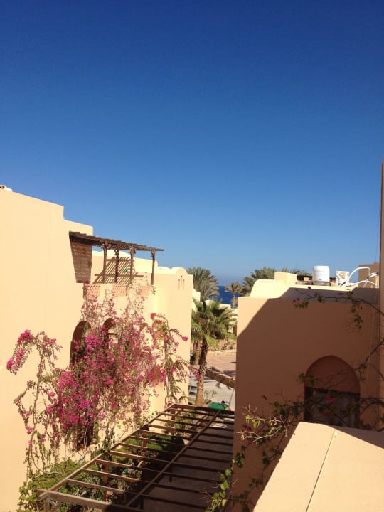 1001 nacht Steigenberger Coraya Beach - Adults only