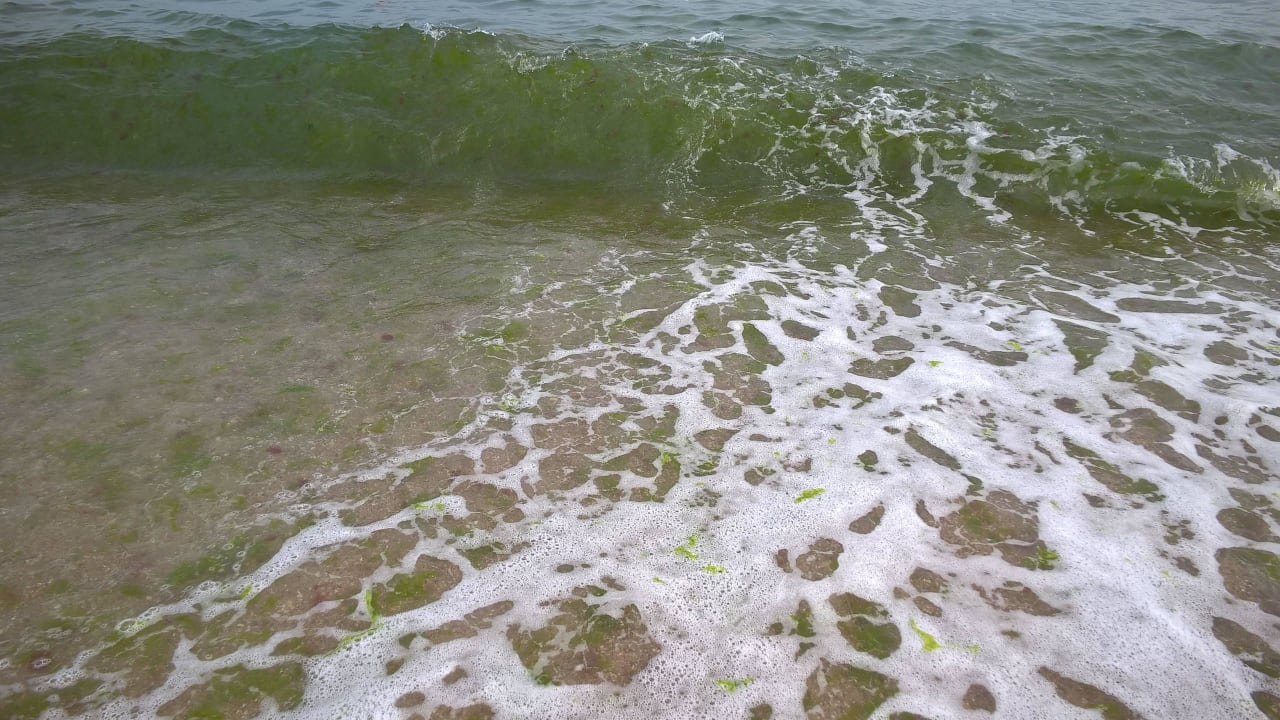 Ab Wasserkante Kieselsteine GRIFID Encanto Beach