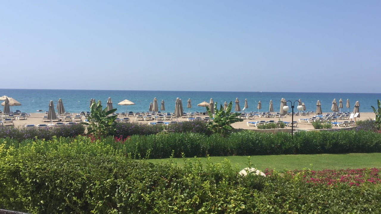 Vom Pool aus sieht man den Strand! Starlight Resort Hotel