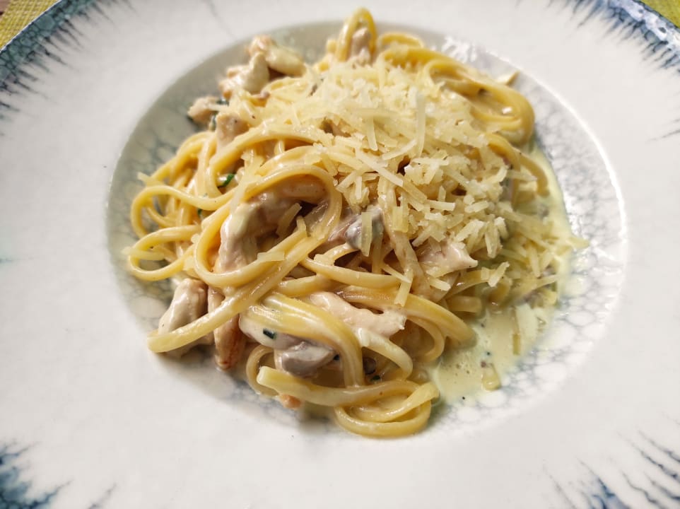 Gastro Acanthus Cennet Barut Collection