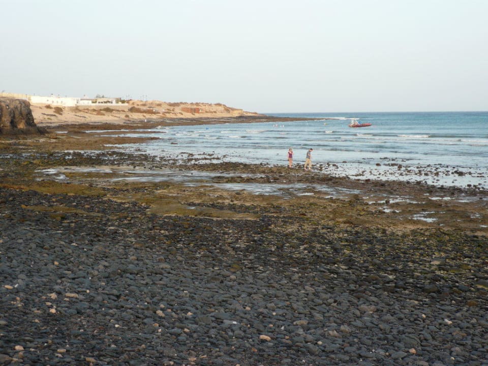 Strand neben dem Hotel SBH Costa Calma Beach Resort