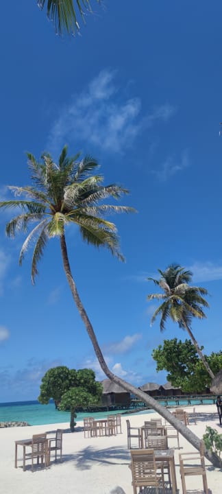 Strand Fihalhohi Maldives