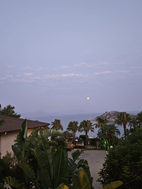 Ausblick TUI BLUE Seno - Adults Only
