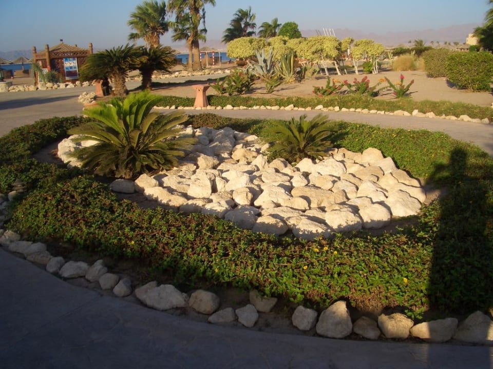 Teil der Gartenanlage Hotel Sheraton Soma Bay Resort