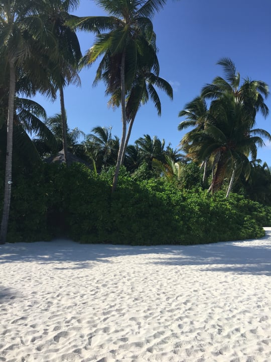 Strand Veligandu Maldives Resort Island