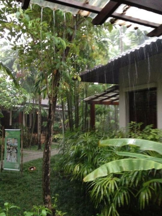 Strand The Treasure Koh Madsum - Samui