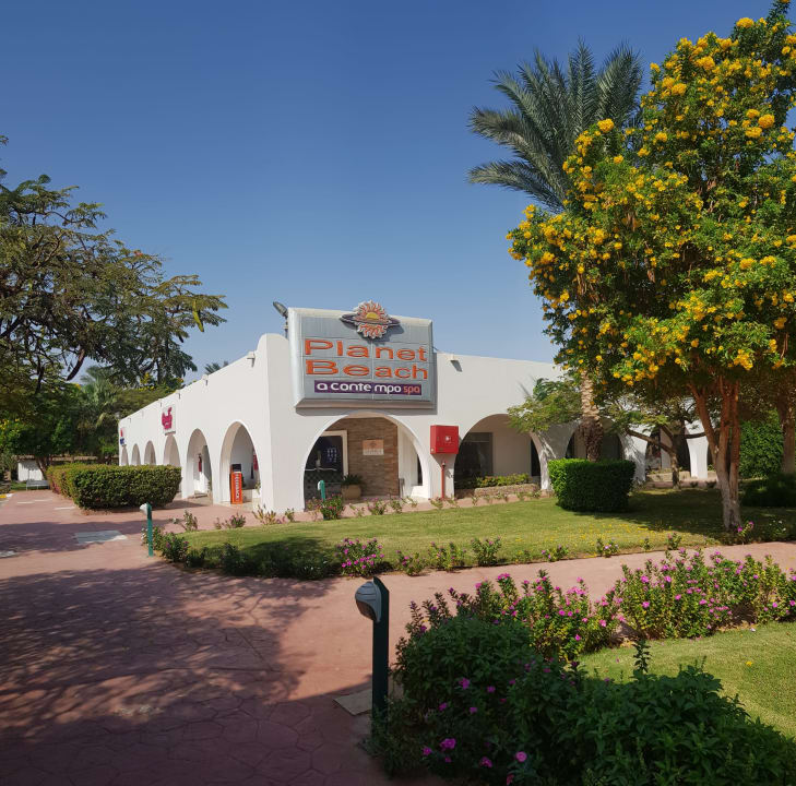 Sonstiges Desert Rose